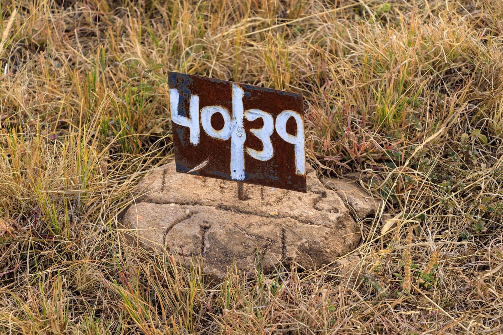 Beaconed & Numbered Plots